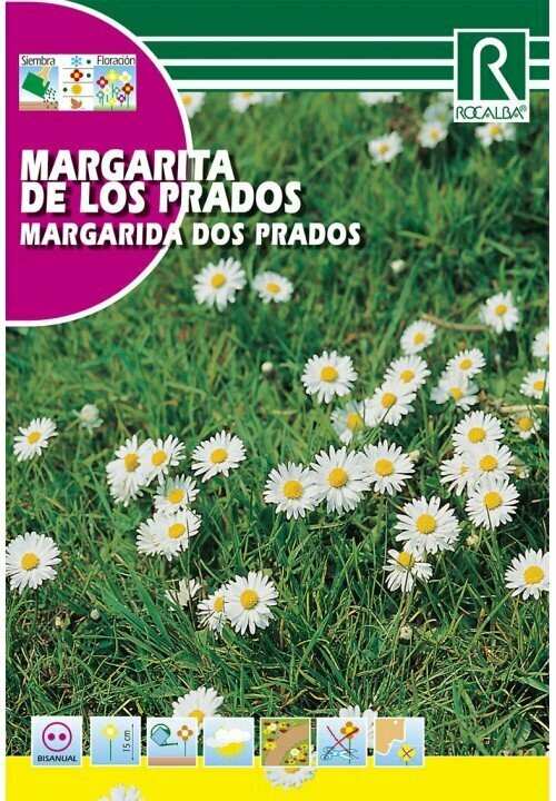 FLORES MARGARITA DE LOS PRADOS