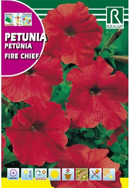 FLORES PETUNIA ROJAS FLORES PETUNIA ROJAS