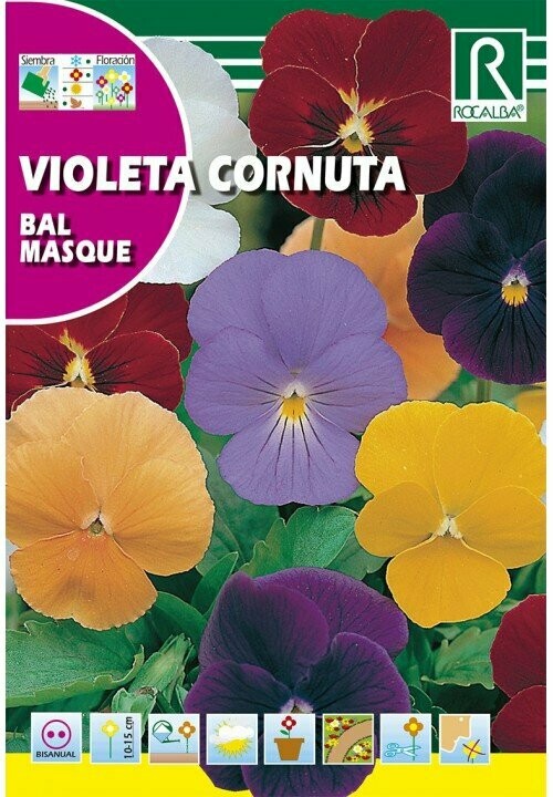 FLORES VIOLETA CORNUTA FLORES VIOLETA CORNUTA