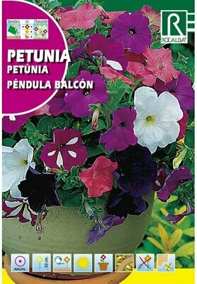 FLORES PETUNIA PENDULA BALCON