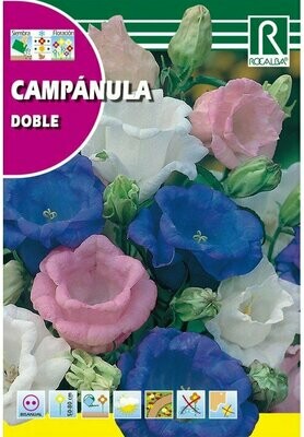 FLORES CAMPANULA DOBLE