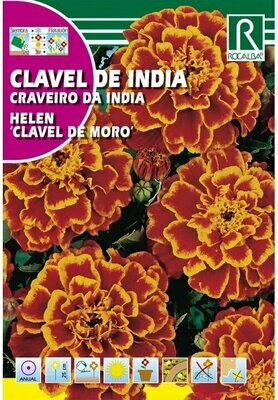 FLORES CLAVEL DE INDIA HELEN DOBLE ENANO DE MORO