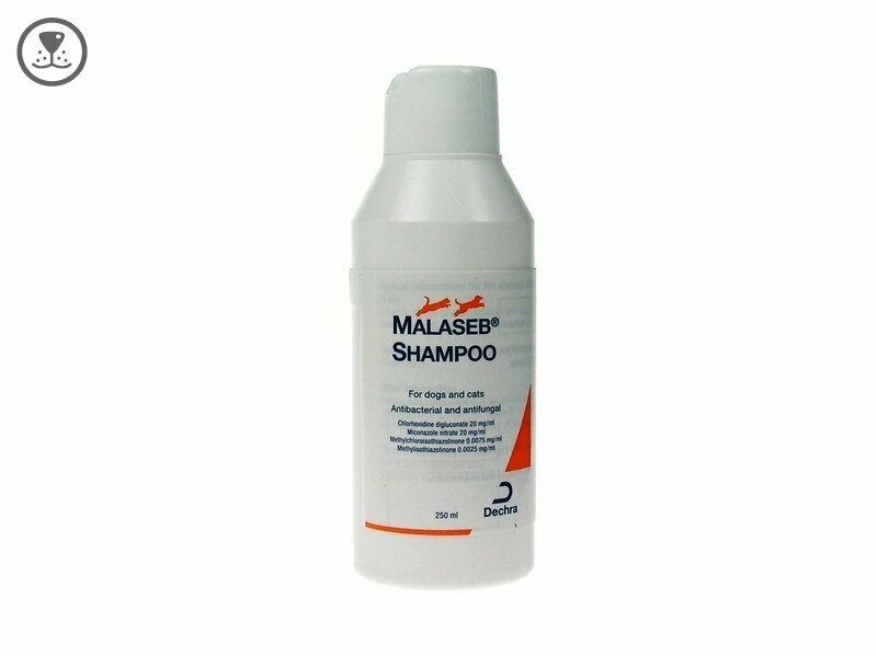 MALASEB Champú 250 ml