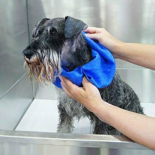 Bayeta súper absorbente