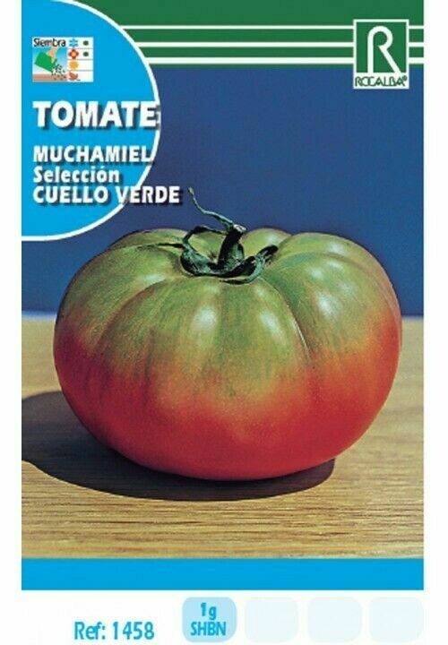 HORTALIZAS TOMATE MUCHAMIEL SELECCION CUELLO VERDE