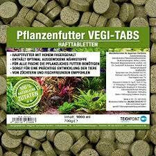 Alimentos vegetales