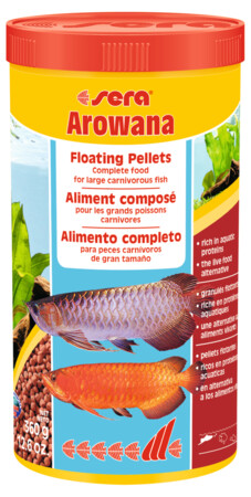 SERA AROWANA