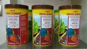 Alimentos para discus