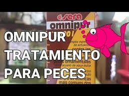 Curar las enfermedades