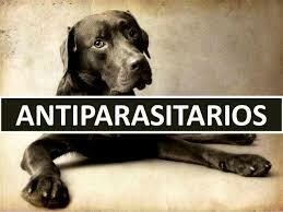Internos