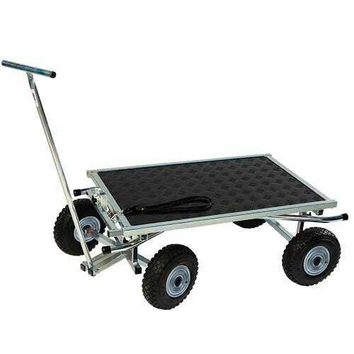 Mesa Amalie "BEST IN SHOW"