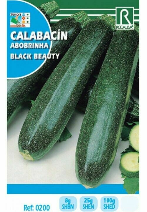 HORTALIZAS CALABACIN BLACK BEAUTY