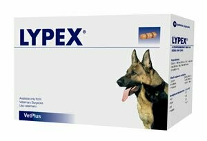 LYPEX 60 Cápsulas