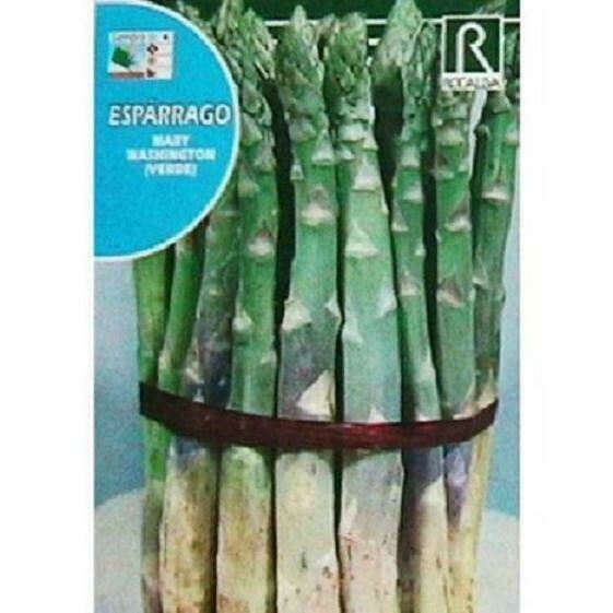 HORTALIZAS ESPARRAGO MARY WASHINGTON