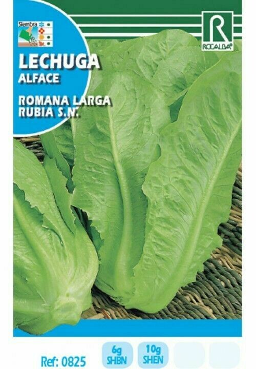 HORTALIZAS LECHUGA ROMANA LARGA HORTALIZAS LECHUGA ROMANA LARGA