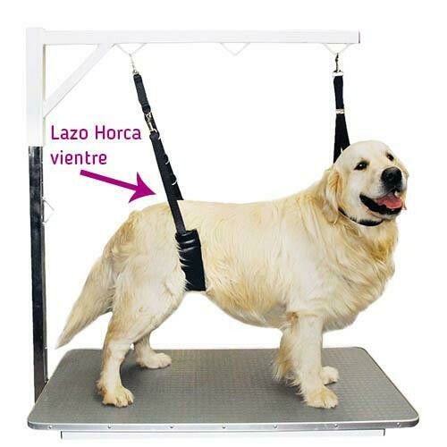 Lazo horca acolchado para vientre Lazo horca acolchado para vientre