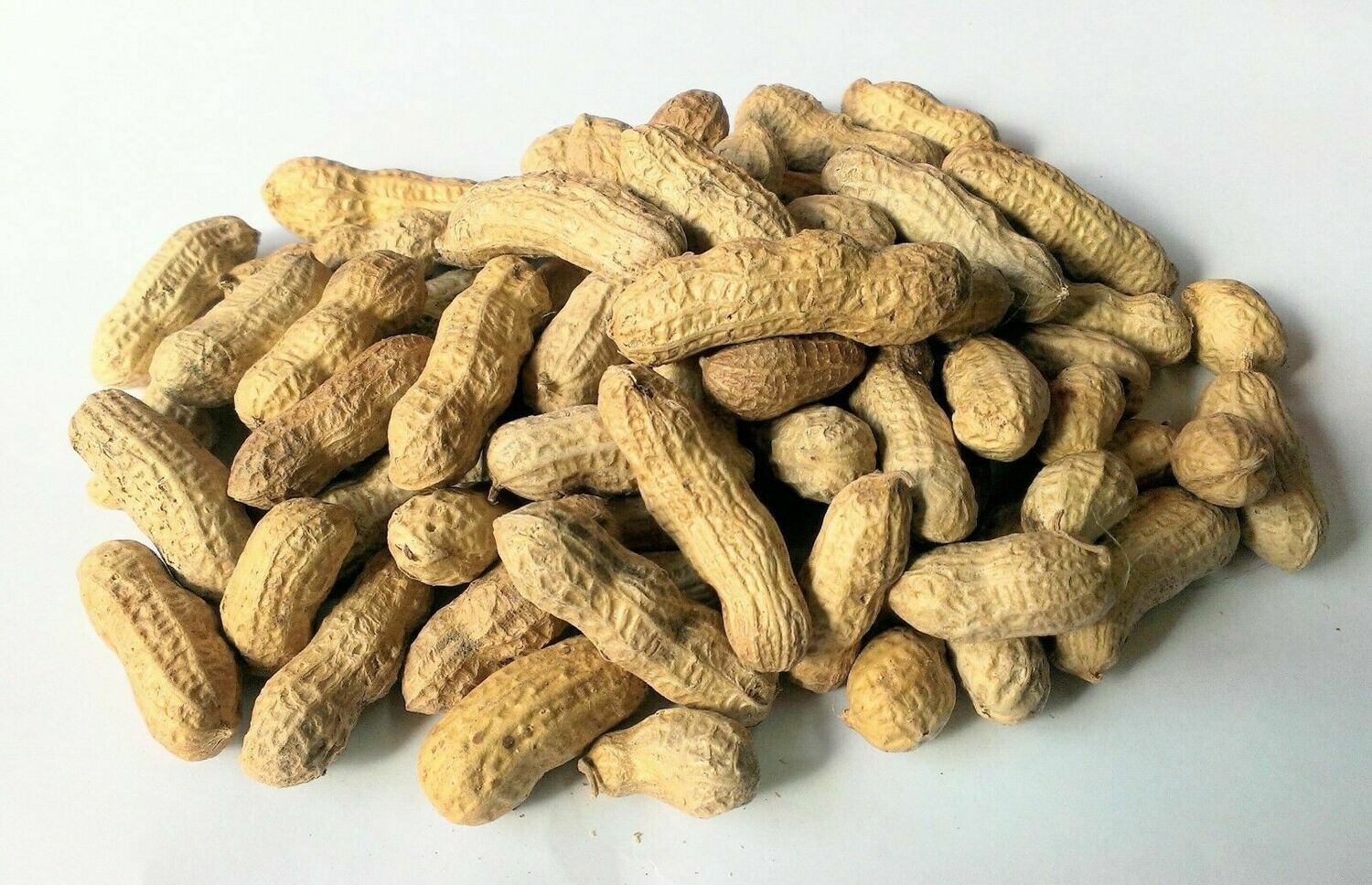 CACAHUETE CON CASCARA 1 KG AMERICANO ESPECIAL LOROS