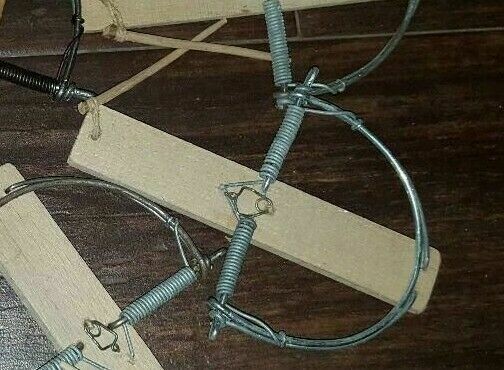 TRAMPA ALAMBRE MADERA RATONES