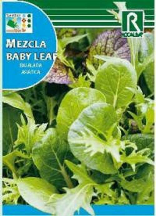 HORTALIZAS MEZCLA BABY LEAF-ENSALADA ASIATICA HORTALIZAS MEZCLA BABY LEAF-ENSALADA ASIATICA