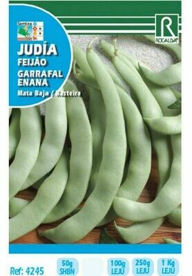 JUDIA GARRAFAL ENANA 50 GRS