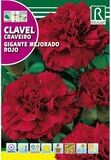 FLORES CLAVEL GIGANTE MEJORADO