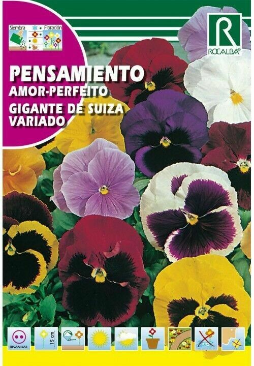 FLORES PENSAMIENTO GIGANTE DE SUIZA VARIADO