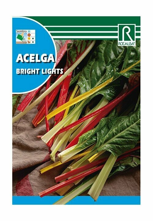 HORTALIZAS ACELGA BRIGH HORTALIZAS ACELGA BRIGH