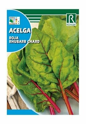 HORTALIZAS ACELGA RHUBARB CHARD ROJA