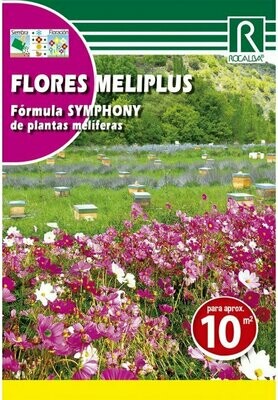 FLORES MELIPLUS