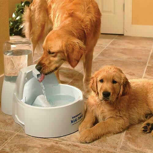 Bebedero fuente DRINKWELL 8,5 litros