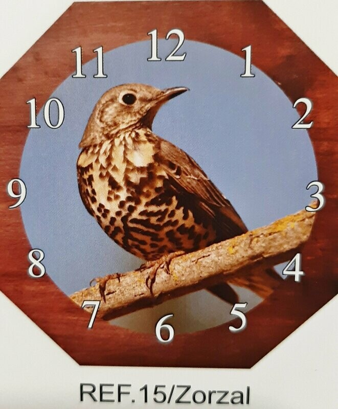 Reloj de Pared Zorzal