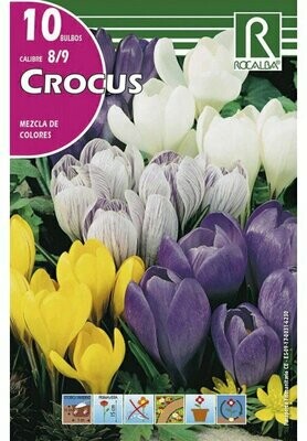 CROCUS -MEZCLA DE COLORES