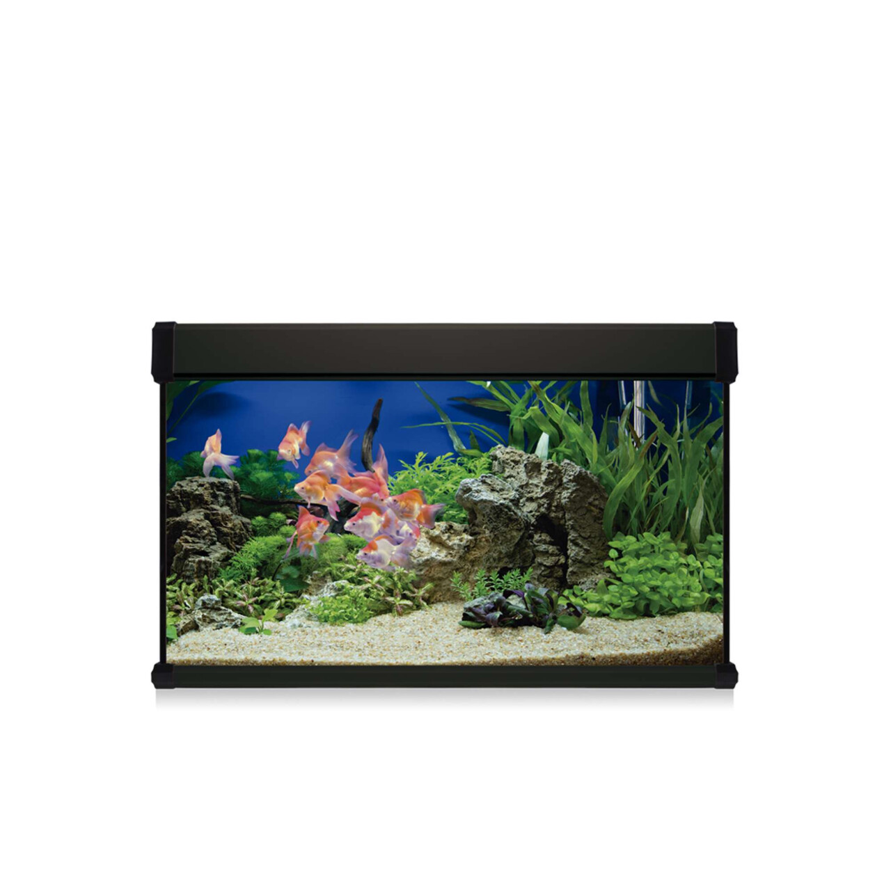 AQUA LUX PRO Kit aqualux Pro 200 NEGRO 100 x 40 x 60 cms