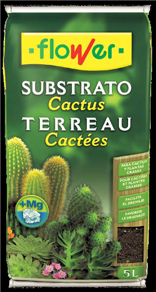 SUB CACTUS 05L