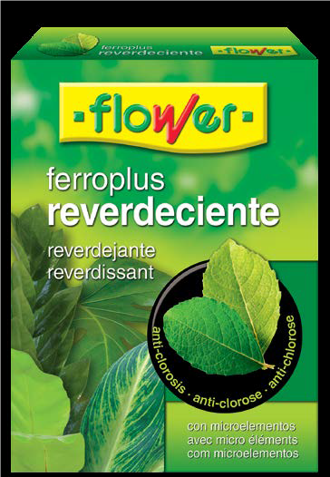 FERRO PLUS REVERDECIENTE 250GR CAJA