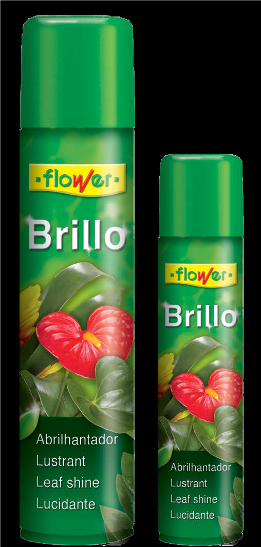 BRILLO PREMIUM 800cc ANTIALERGÉNICO