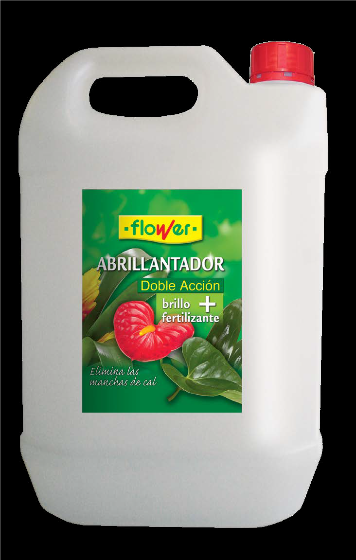 BRILLO INDUSTRIAL 5L