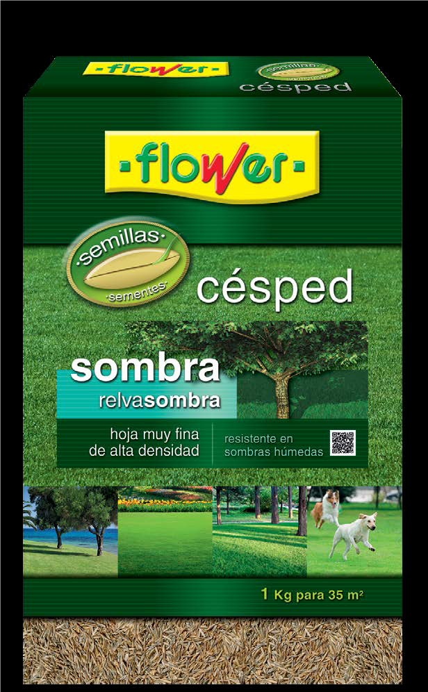 SEMILLAS CESPED SOMBRA1 KG