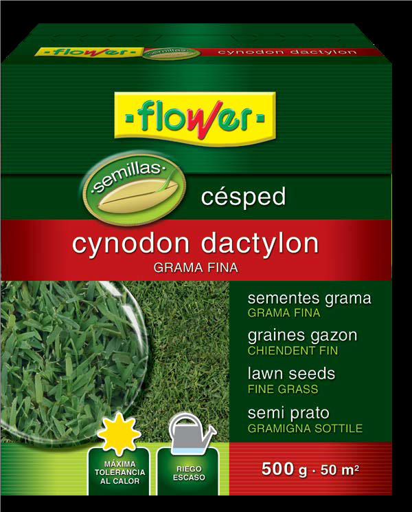 SEMILLAS CESPED CYNODON DACTYLON 500GR