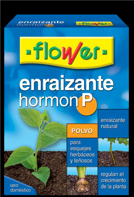 ENRAIZANTE HORMON P POLVO 5X10gr