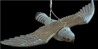 AGUILA VOLADORA AHUYENTADOR DE AVES