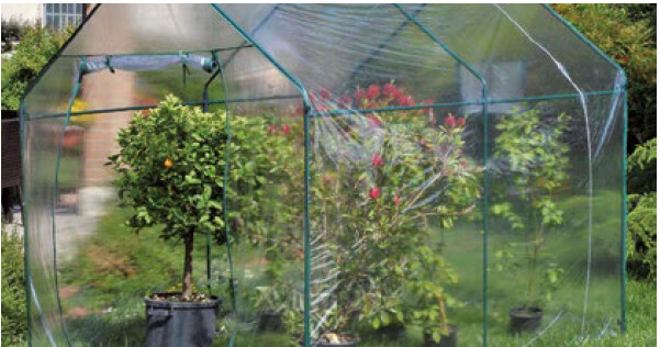 Invernadero ”NARCISO” 185x240x205 cm