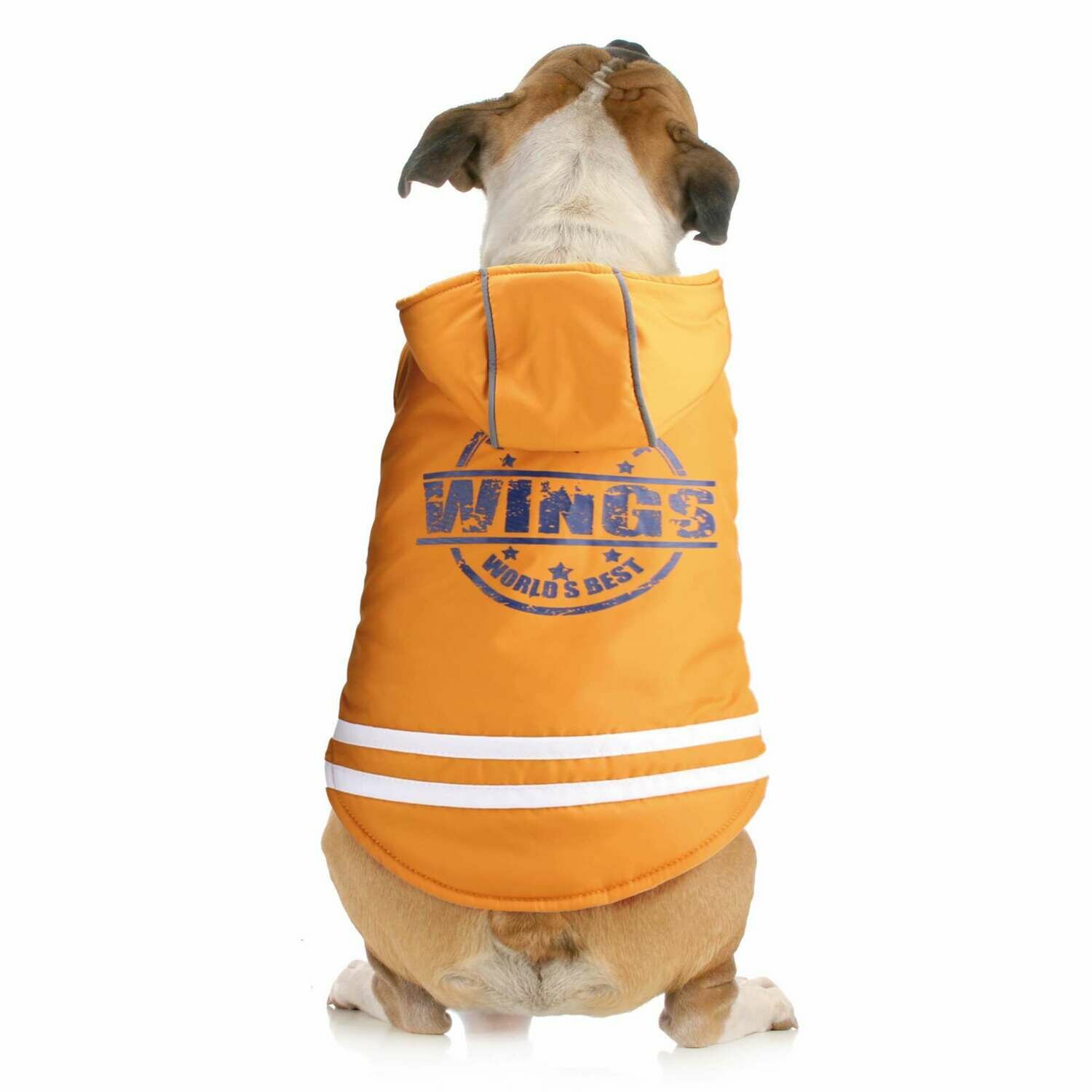 Abrigo WING de ALPHA DOG 50 CM