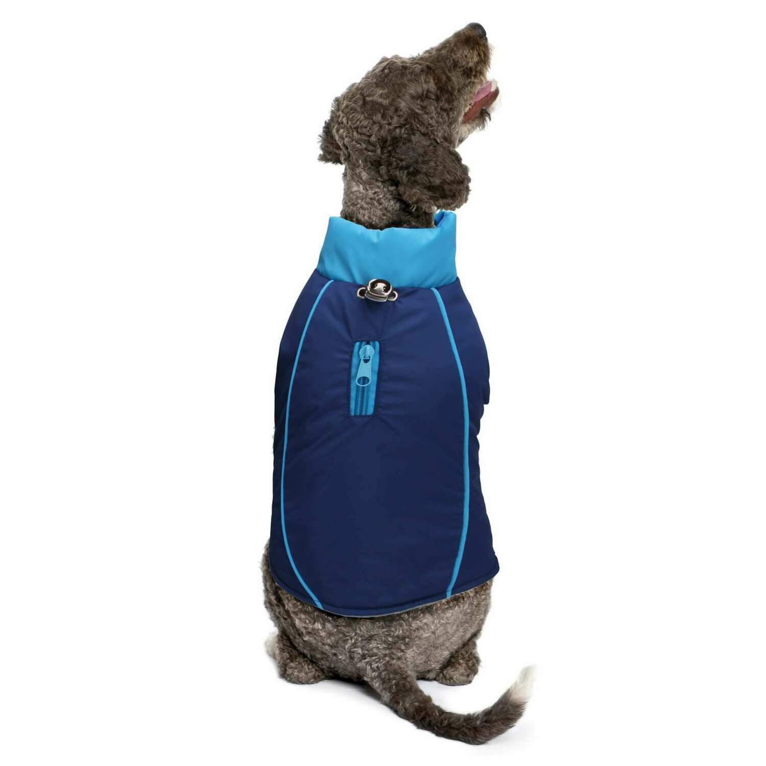 Abrigo BLUE de ALPHA DOG