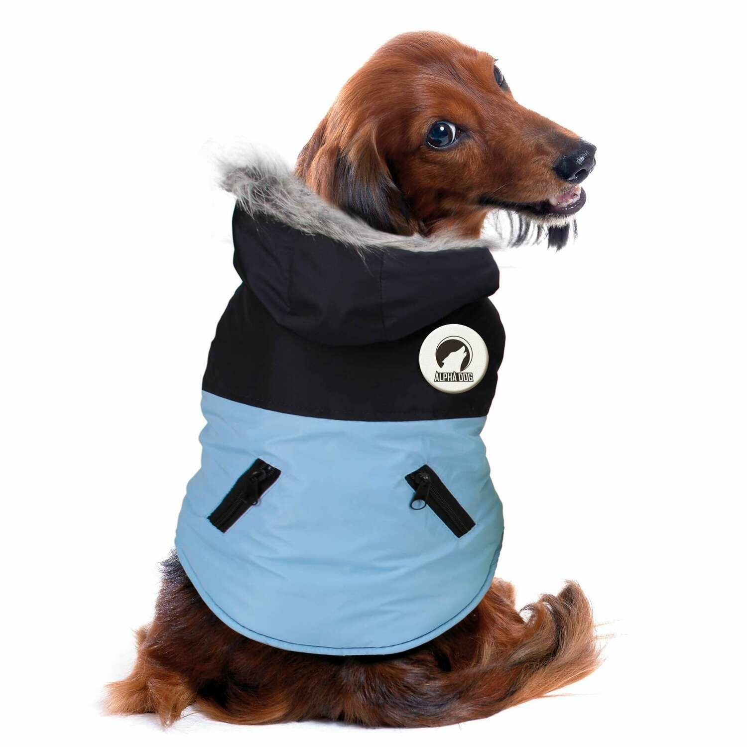 Abrigo DESIGN de ALPHA DOG