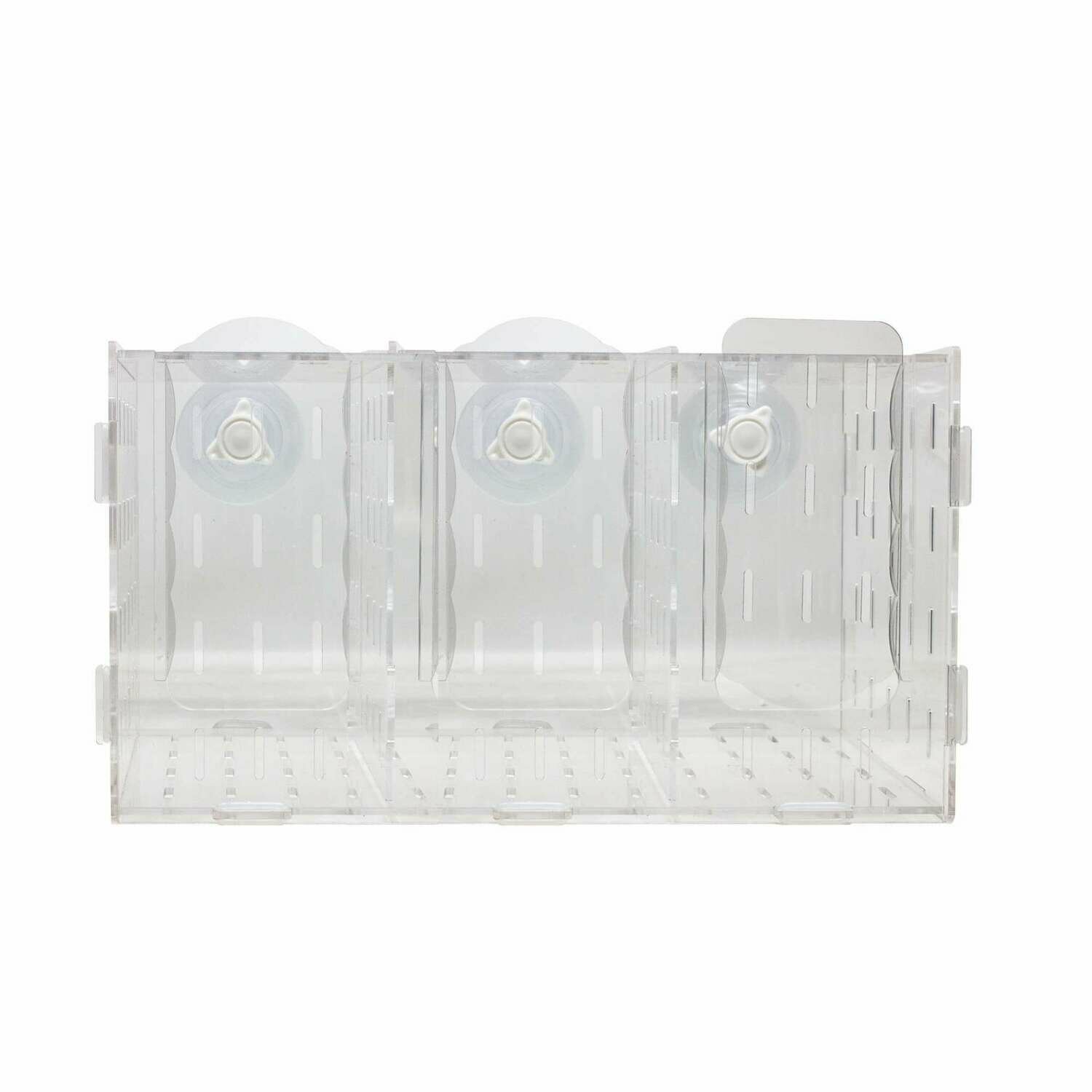 Tanque de aclimatación AQUA OCEAN