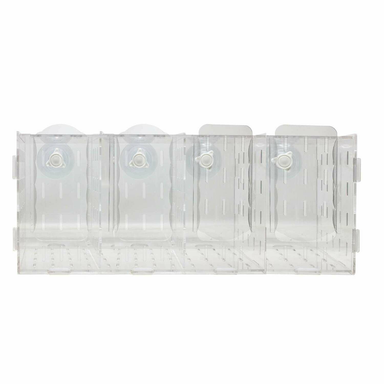 Tanque de aclimatación AQUA OCEAN