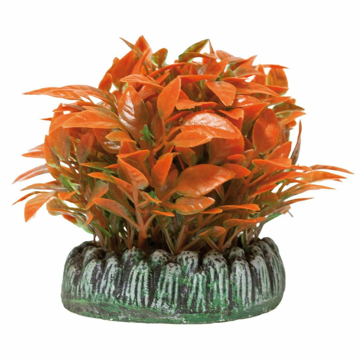 Alternanthera de AQUATIC PLANTS (PLÁSTICO)