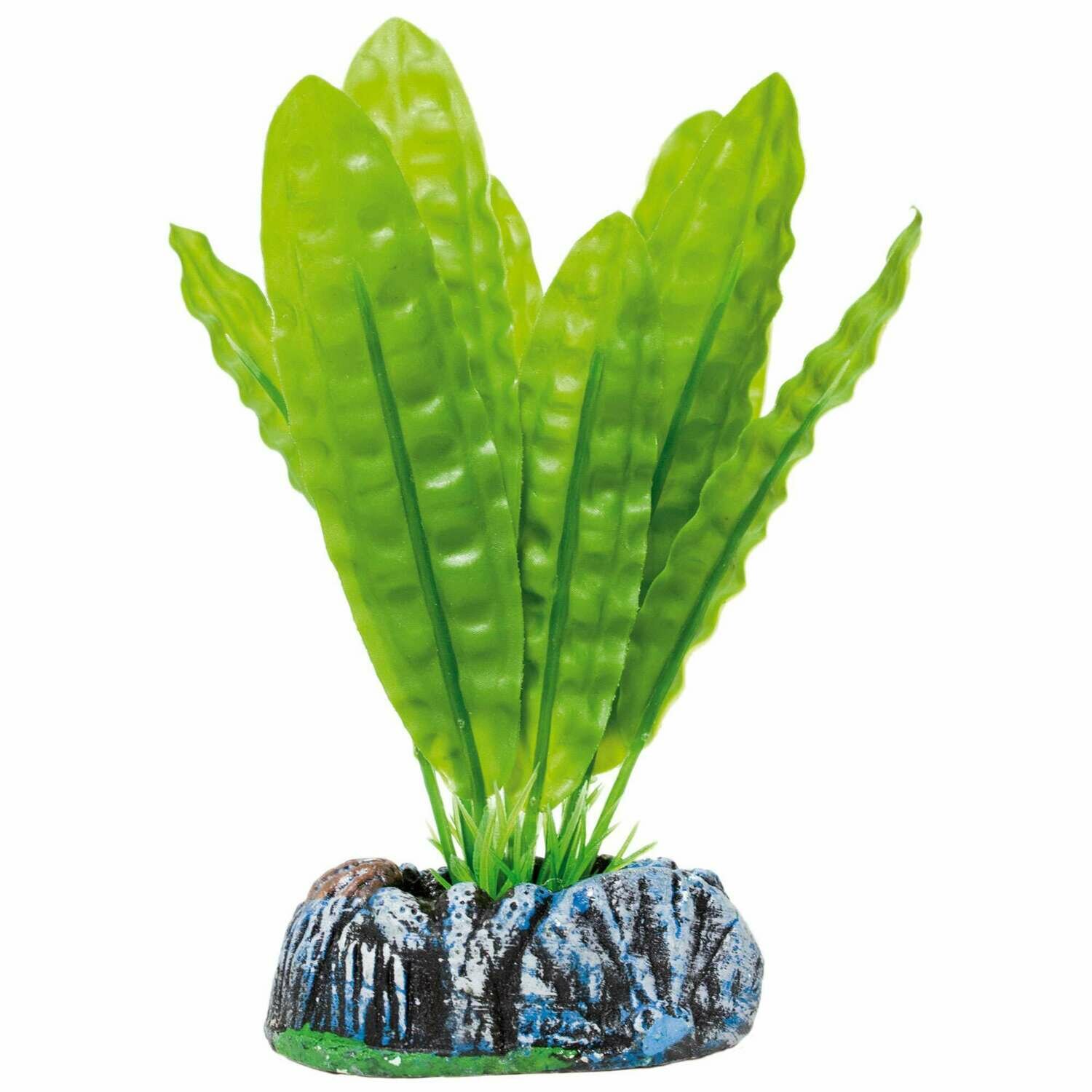 Aponogeton boivinianus de AQUATIC PLANTS (PLÁSTICO)