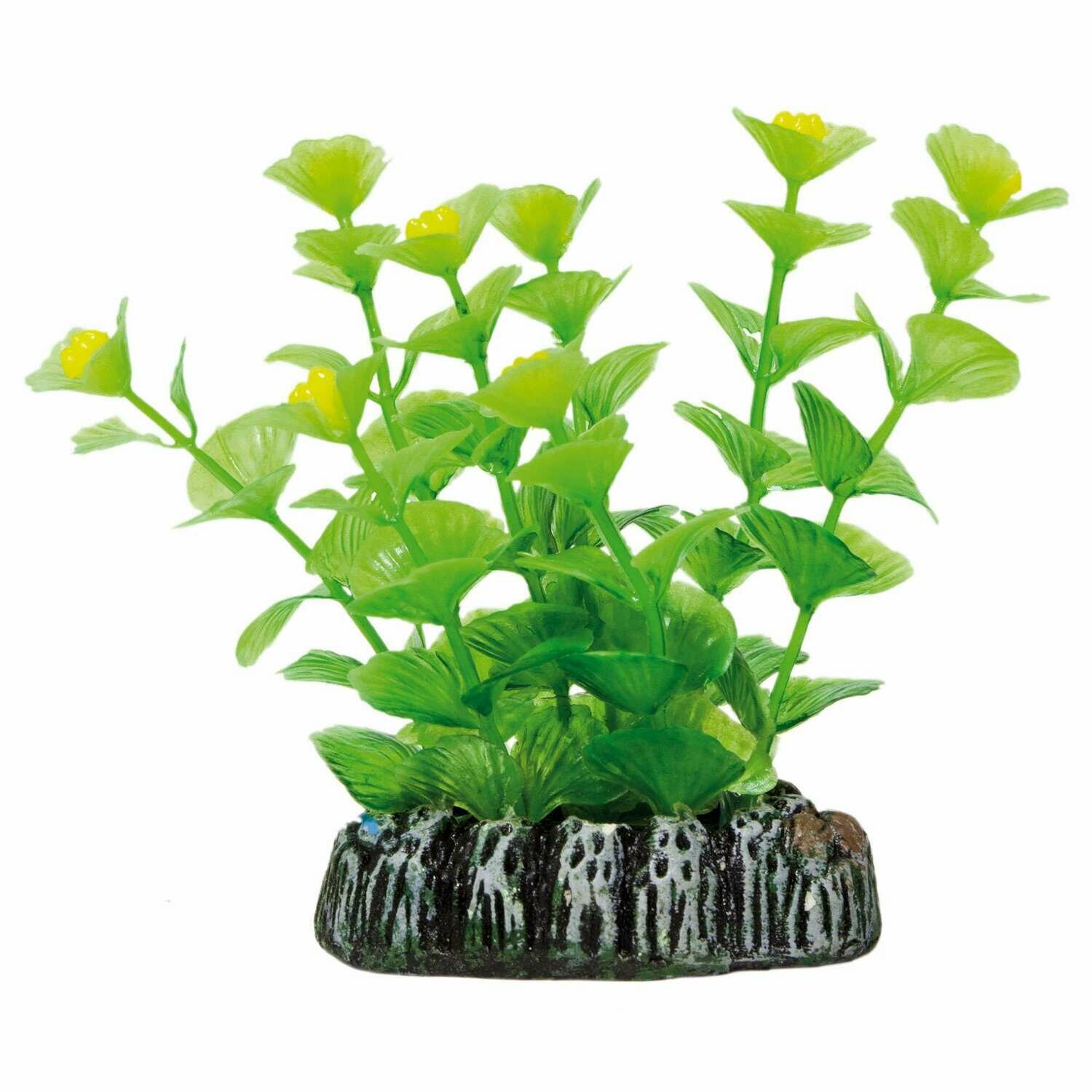 Cardamine de AQUATIC PLANTS (PLÁSTICO)